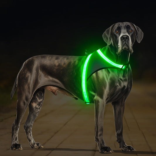 Arnés luminoso LED para perros recargable por USB, completamente iluminado, brilla en la oscuridad para paseos nocturnos, chaleco de seguridad, perros medianos y grandes (verde, L)