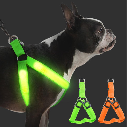 2 piezas Light Up Arnés para Perros Luminoso Recargable, Luminoso Arnés para Perros, Iluminado Recargable Para Paseo Nocturno Para Pequeños M