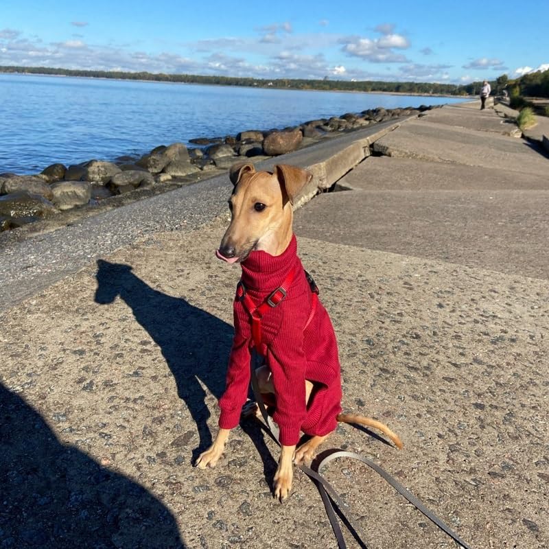 Abrigo Ropa de galgo italiano, abrigo de invierno for perros, pijamas, monos, cuello alto de cuatro patas, ropa elástica for galgos, ropa for mascotas, abrigo, traje for perros medianos y grandes/Whippet/Lur