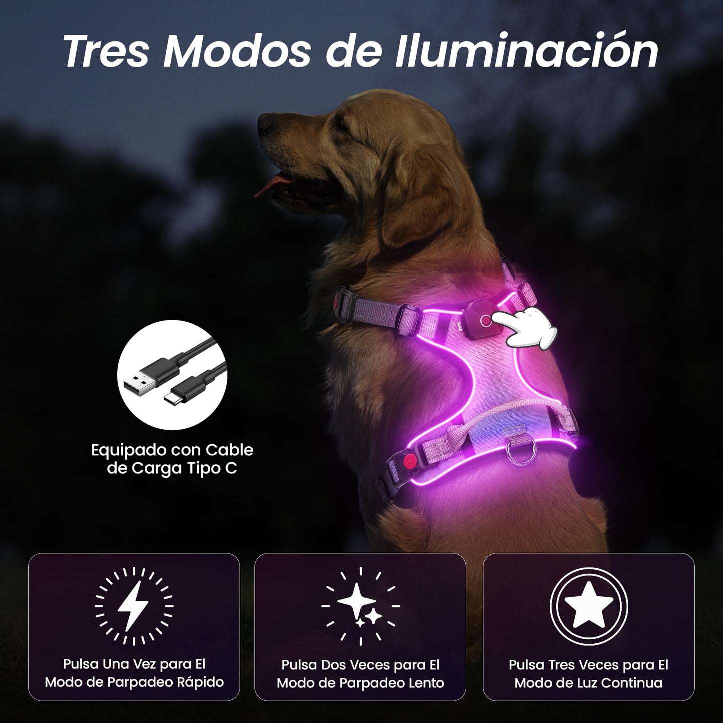 Arnés led de Perro Luminoso Talla M con Asa, Arnés Perro Ajustable con Luz Recargable 3 Modos de Iluminación, Bandas Reflectantes, Fácil de Poner para Perros Pequeños y Medianos
