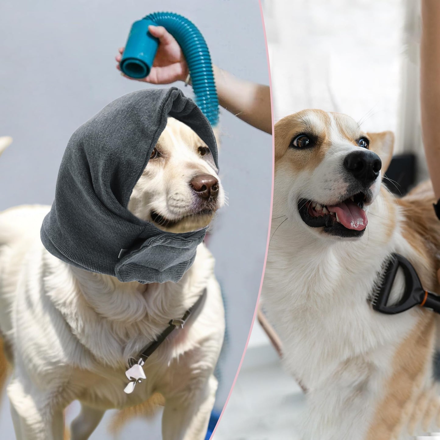 Banda para Calmar Perros Ajustable con Cintas Mágicas para el Baño, S, Gris