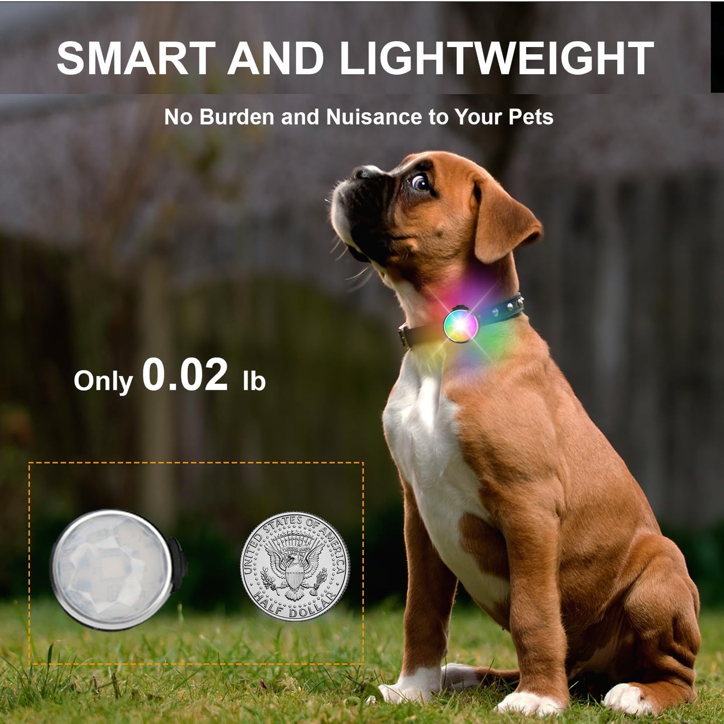 Tubasion Colgante de Luz USB-C Recargable para Collar de Perro - 7 Colores, Intermitente, Silicona, IP65 Impermeable - para Paseos Nocturnos