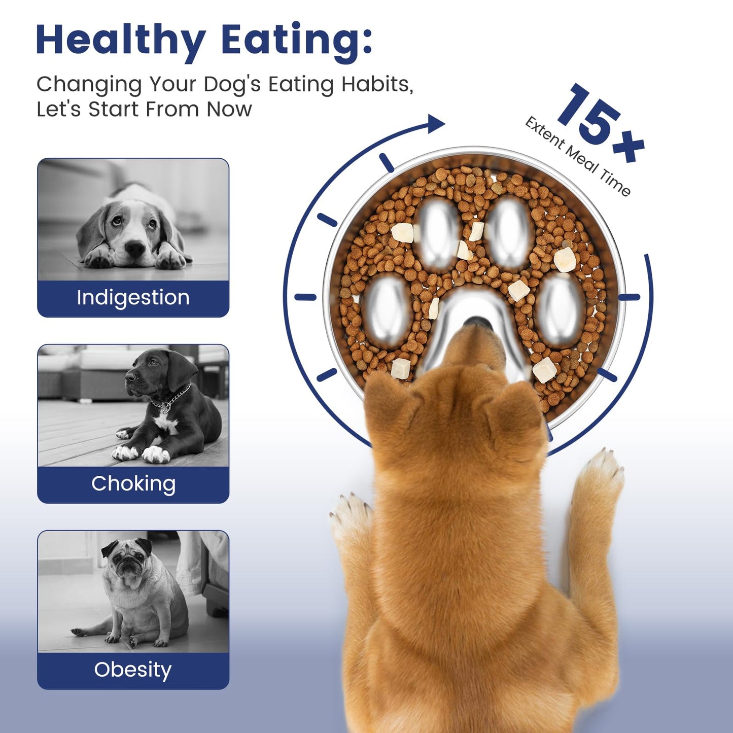 PETTOM Comedero para Perro Mascotas de Acero Inoxidable,Comedero Lento para Perros,Comedero Perro Antivoracidad para Mascotas Medianas y Grandes