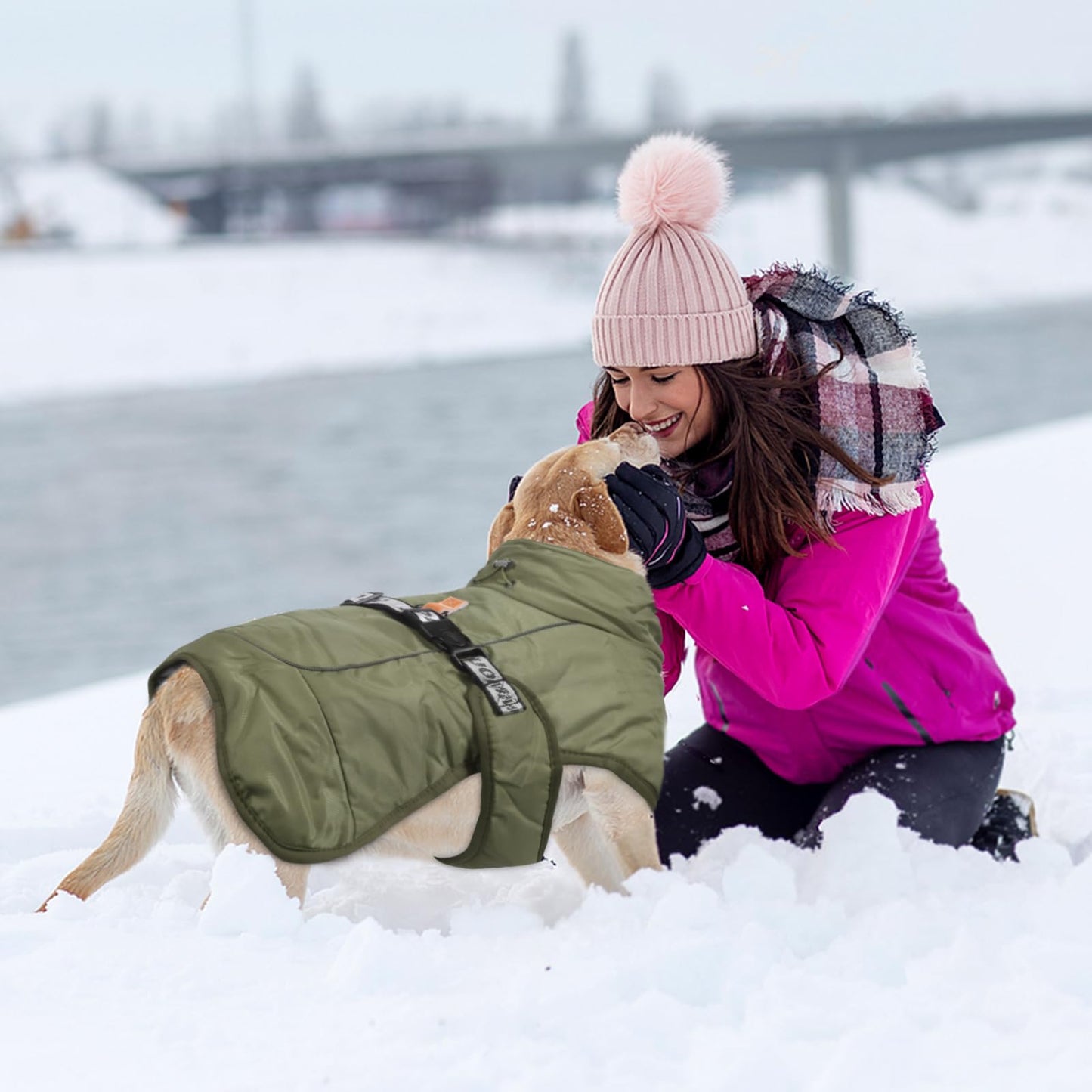 Abrigo de Invierno para Perros Chaqueta a Prueba de Viento Cálido para Perros Medianos Grandes Chaleco Reflectante Ajustable Perro Ropa al Aire Libre para Mascotas