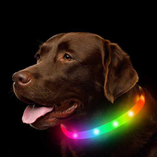 NOVKIN Collar LED para perro, recargable, RGB que cambia de color, luces impermeables que hacen que la mascota sea visible y segura para caminar por la noche, al aire libre, camping, para perros