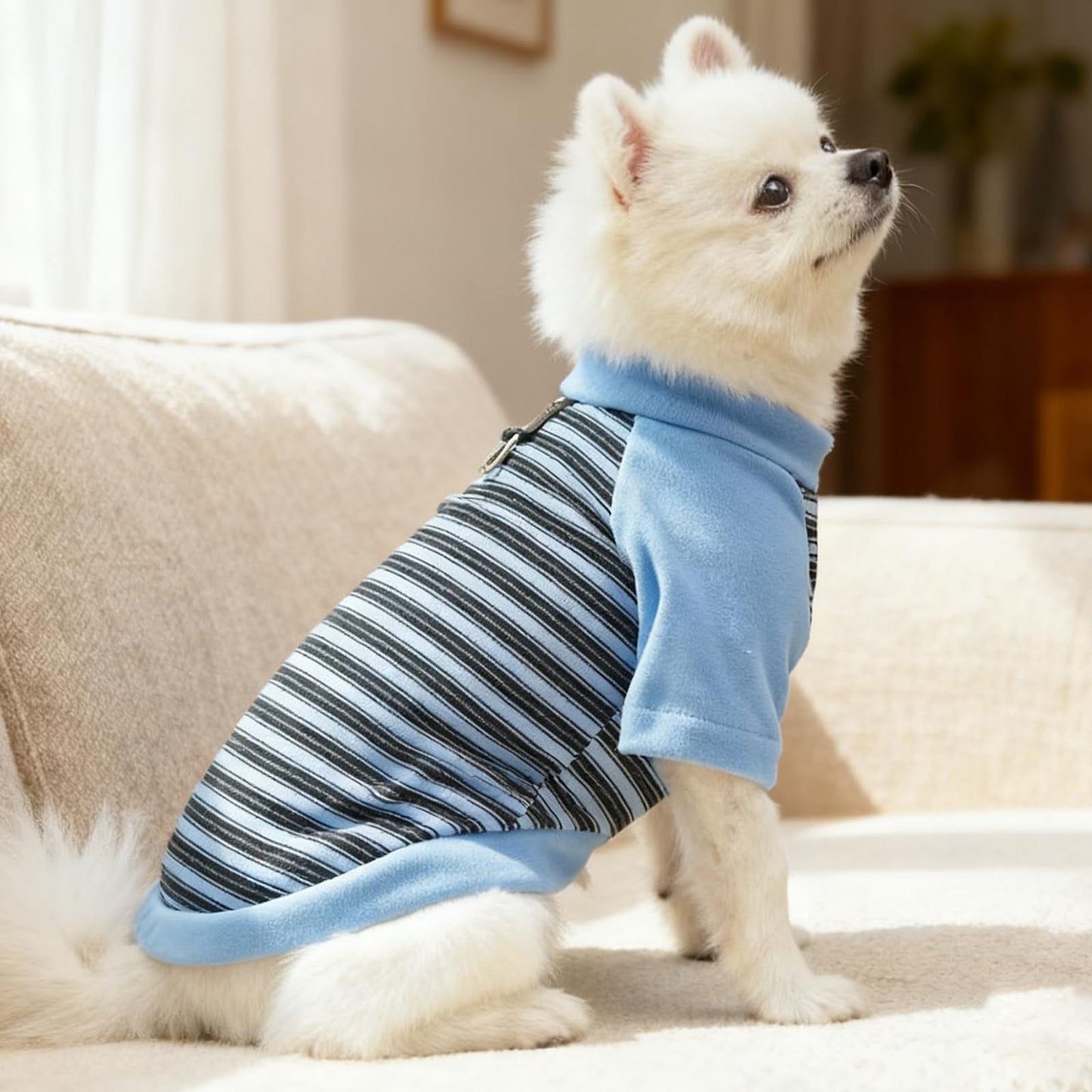 Abrigo Ropa para perros pequeños, suéter de invierno cálido a rayas con anillo de correa, sudaderas suaves para chihuahua, schnauzer, shih, tzu, yorkie, bulldog francés (azul, XL)