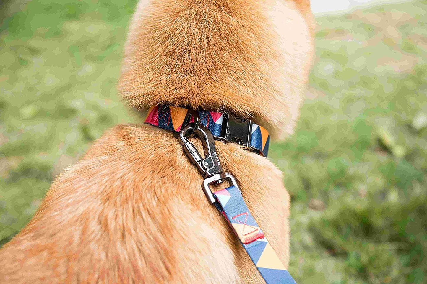 Collar de perro con patrón geométrico, mediano