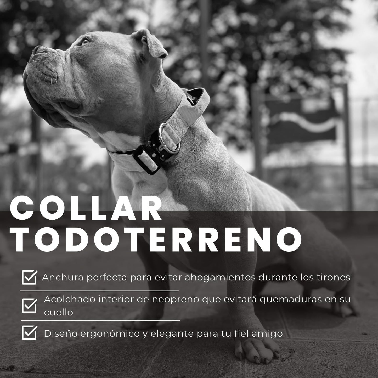 Collar Táctico para Perro Mediano y Grande - Acolchado con asa, Hebilla de Liberación Rápida y Ancho Antiahogamiento - Collar de Entrenamiento para Todo Tipo de Perros - Verde L