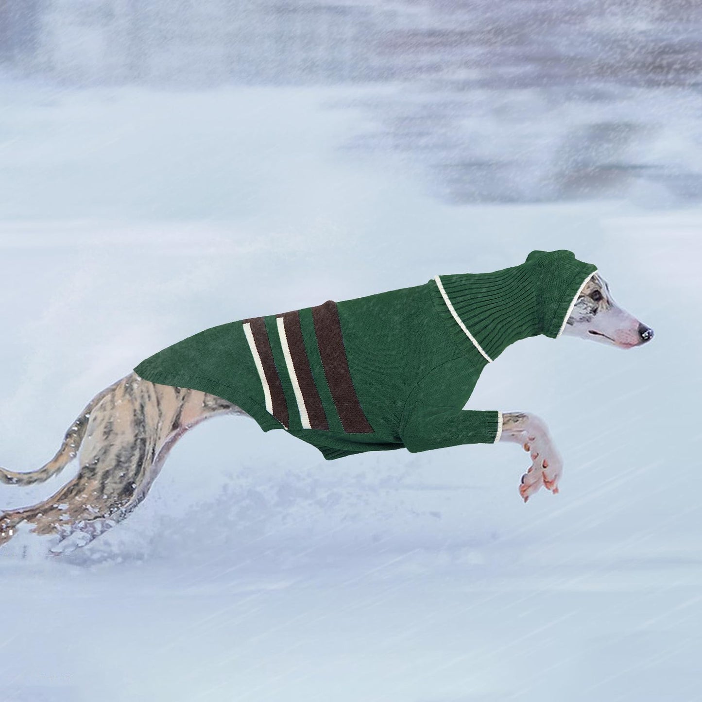 Abrigos Galgo Invierno Cálido, Suéter Cálido Sweater Galgo Ropa Galgo Invierno Jersey Galgo Español Jersey Perro Mediano(Verde Militar, L)