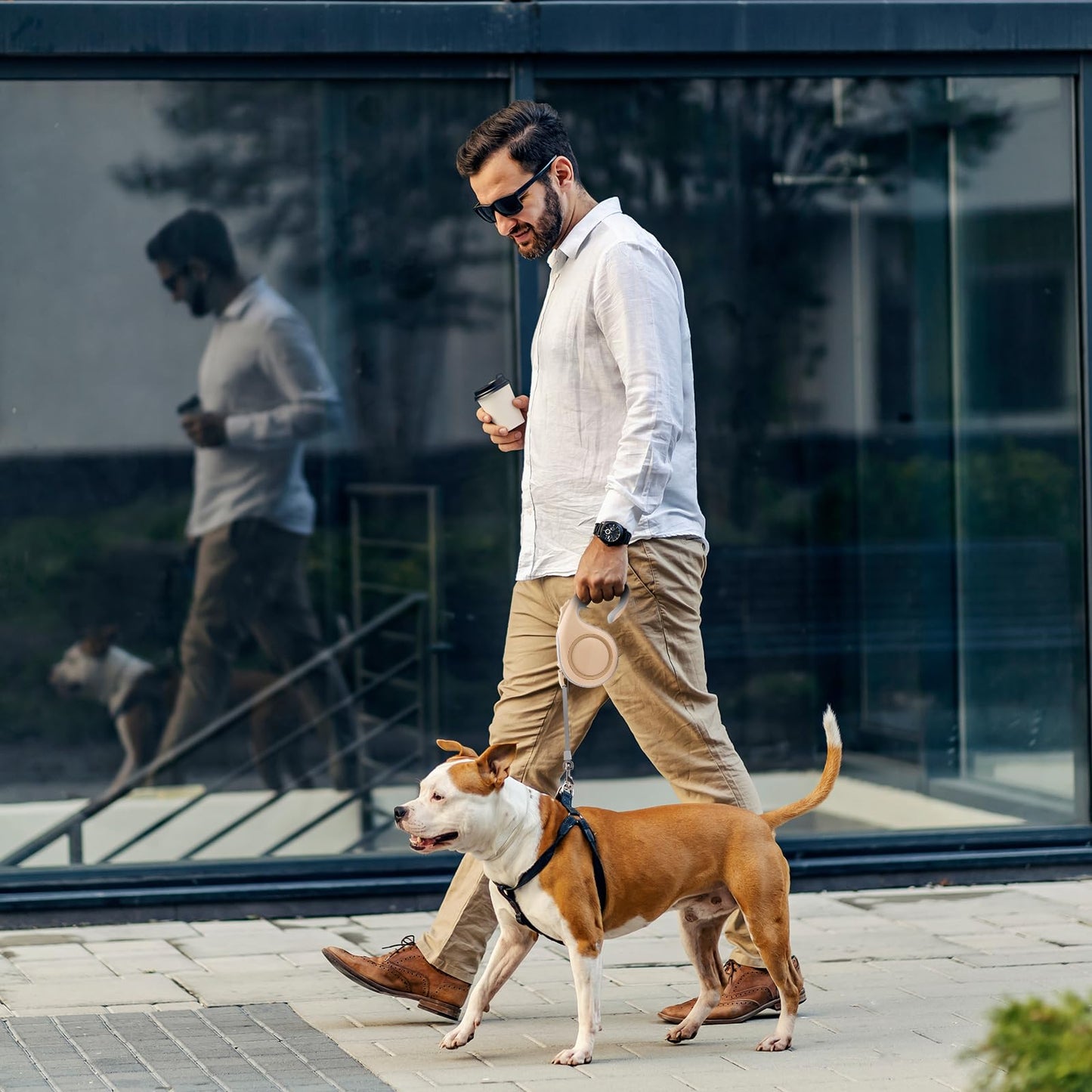 Correa retráctil para Perro, Correa Extensible para Perro, Correa elástica de 5 m, Correa para Perros medianos y Gatos, Extensible para Perro, Freno con una Sola Mano, Bloqueo de Pausa (Dorado)