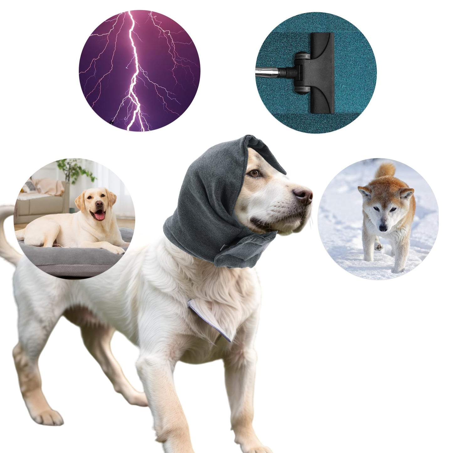 Banda para Calmar Perros Ajustable con Cintas Mágicas para el Baño, S, Gris