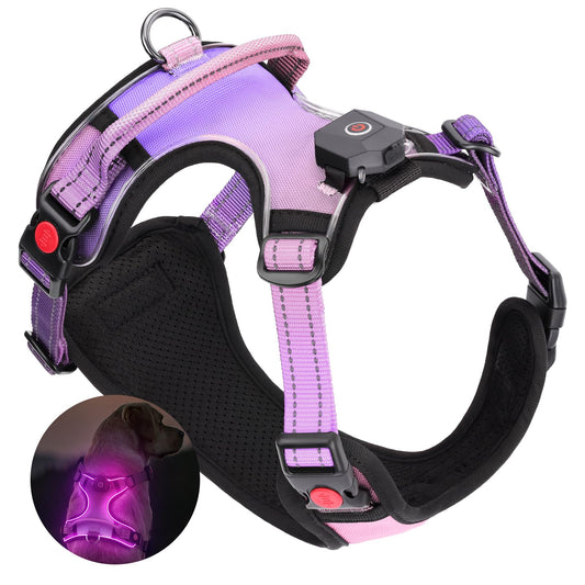 Arnés led de Perro Luminoso Talla M con Asa, Arnés Perro Ajustable con Luz Recargable 3 Modos de Iluminación, Bandas Reflectantes, Fácil de Poner para Perros Pequeños y Medianos