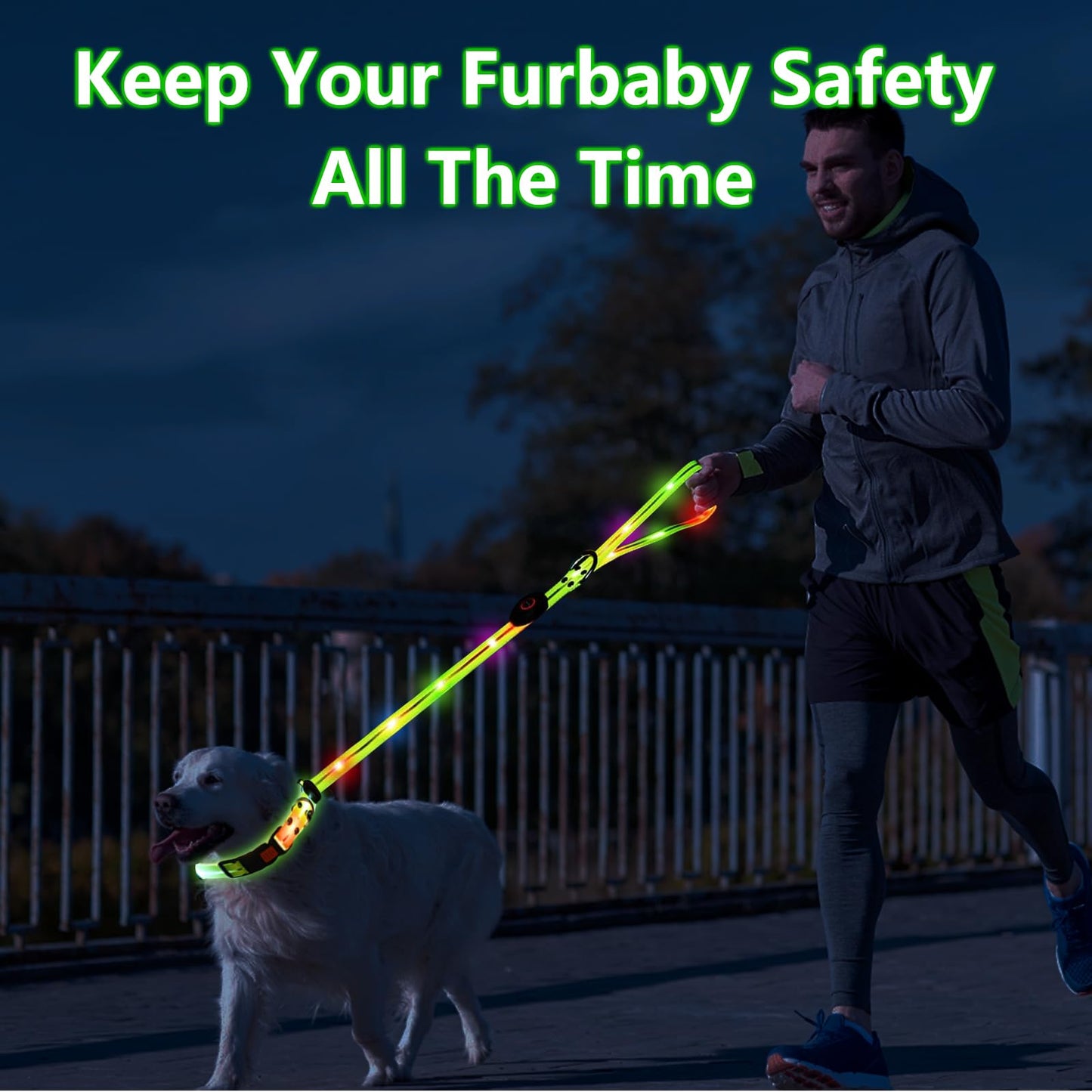 Collar Luminoso Perro de Mascota, Collar Perro Luz Impermeable con 3 Modos de Luz, Correa para Perros 1.2m, Collar Correa Perro LED Recargable por USB Tamaño Ajustable, para Perros Pequeños Medianos