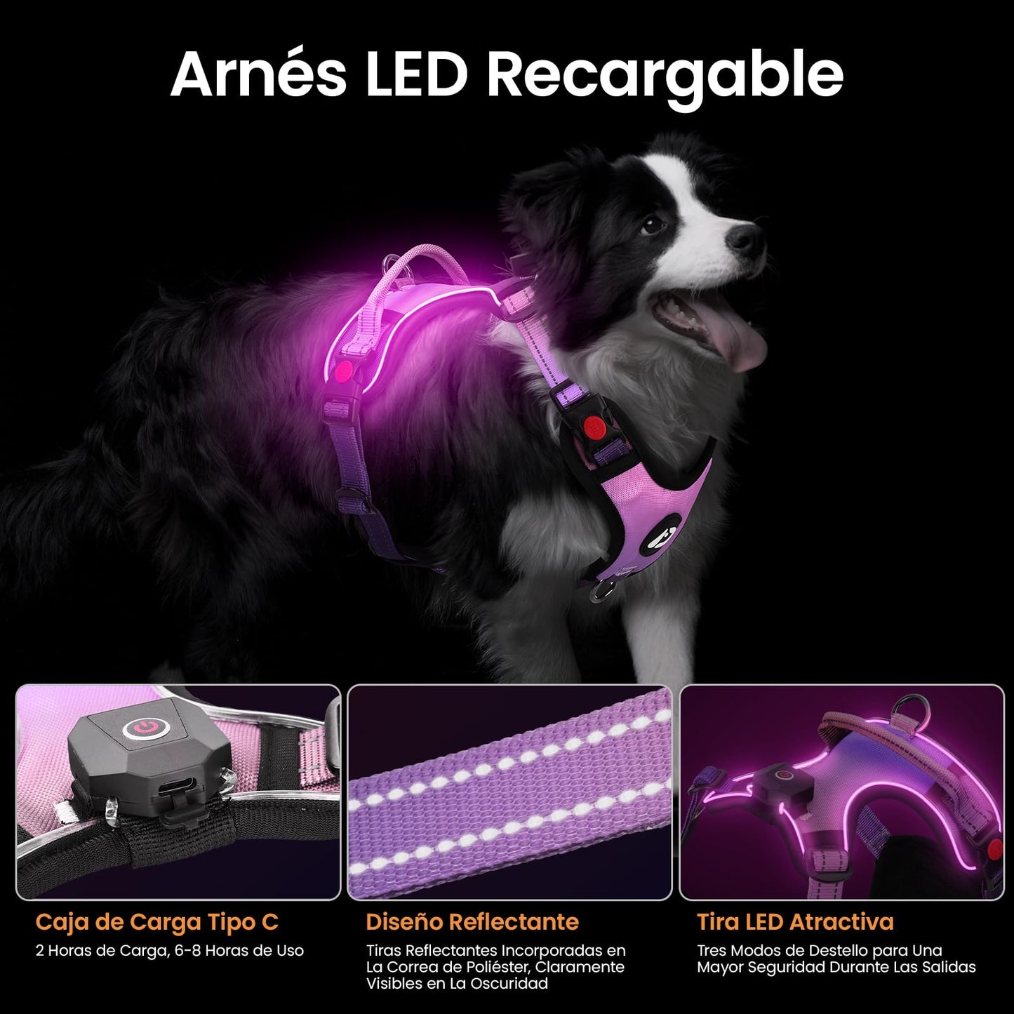Arnés led de Perro Luminoso Talla M con Asa, Arnés Perro Ajustable con Luz Recargable 3 Modos de Iluminación, Bandas Reflectantes, Fácil de Poner para Perros Pequeños y Medianos