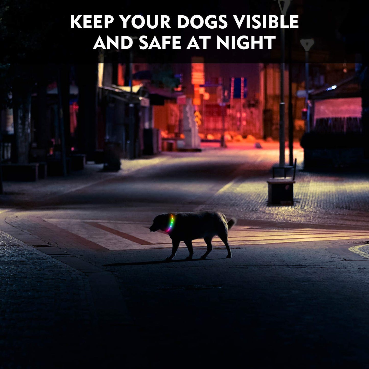NOVKIN Collar LED para perro, recargable, RGB que cambia de color, luces impermeables que hacen que la mascota sea visible y segura para caminar por la noche, al aire libre, camping, para perros