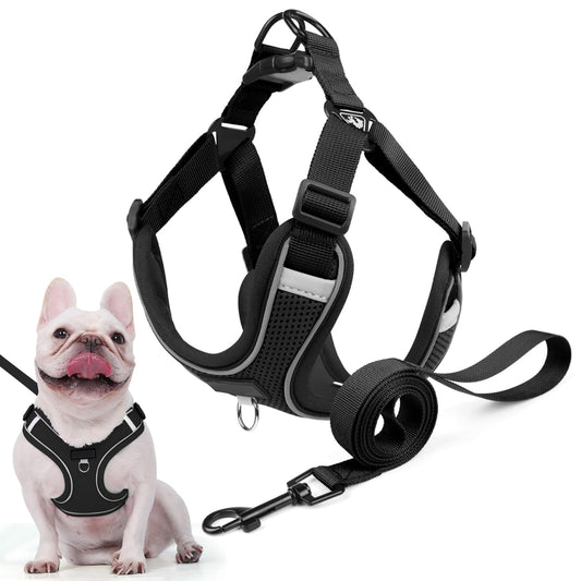 Arnés Perro y Conjunto de Correa, Arnés Reflectante & Antitirones para Perro, Chaleco Acolchado Cómodo y Ajustable para Perros, Ideal para Que tu Mascota Pasee & Capacitación (Negro, XS)