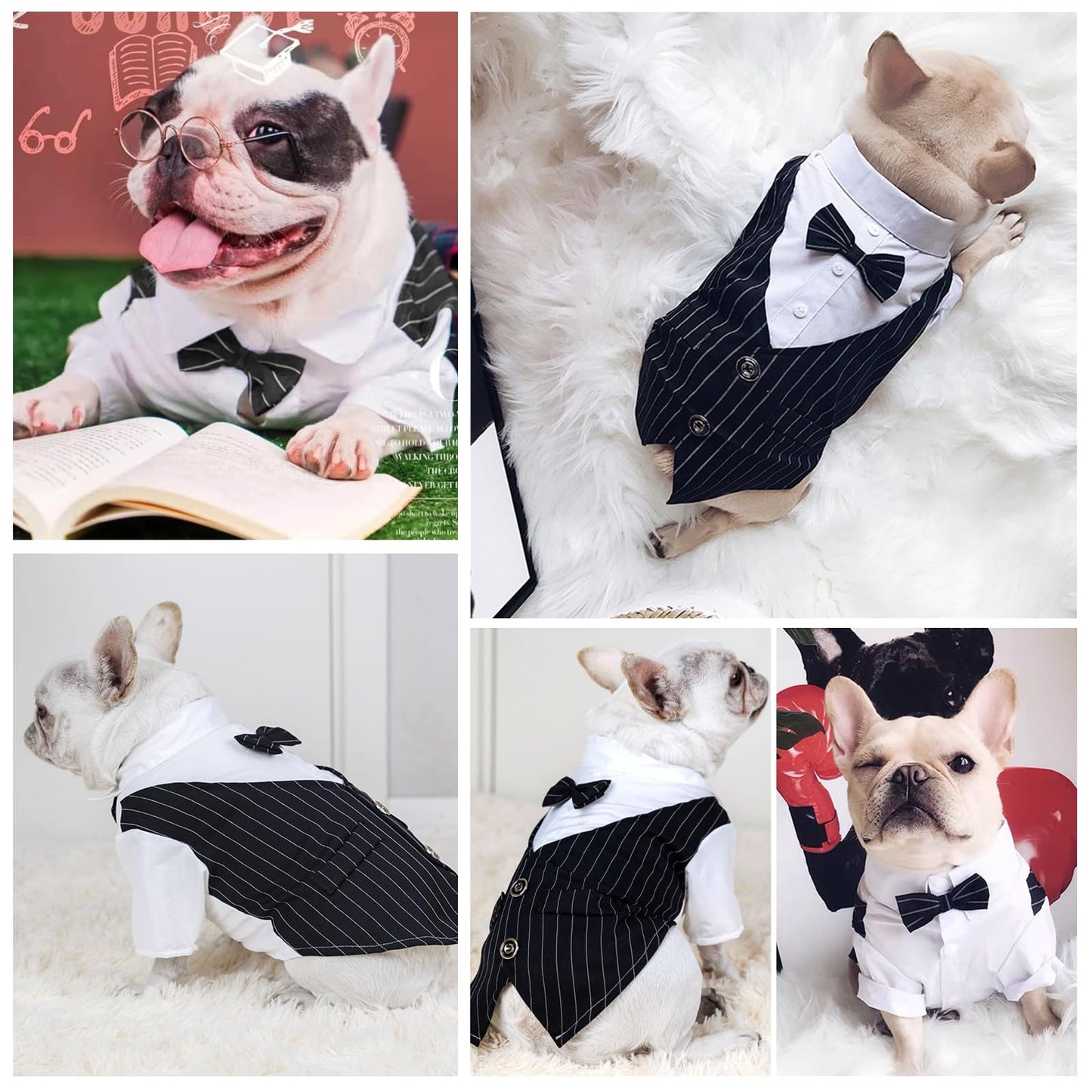 Disfraz Esmoquin Formal Perro, Ropa para Perros Pequeños, Traje de Corbatín de BodaPerro, Camisa de Caballero paraPerro, Disfraz Divertido de Halloween paraPerros, Traje para Mascotas (Large)