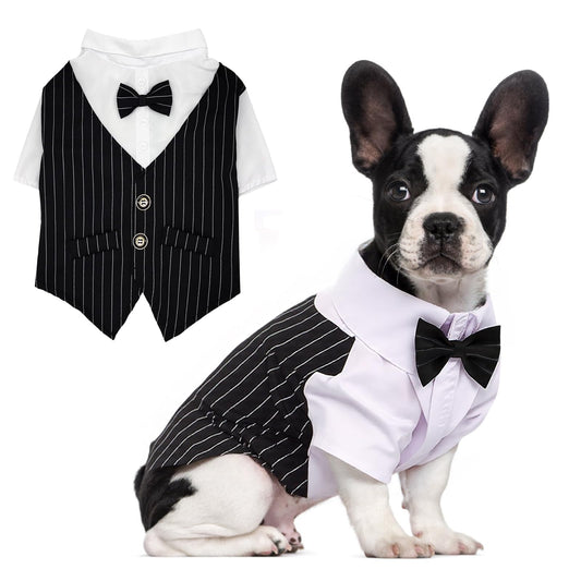 Disfraz Esmoquin Formal Perro, Ropa para Perros Pequeños, Traje de Corbatín de BodaPerro, Camisa de Caballero paraPerro, Disfraz Divertido de Halloween paraPerros, Traje para Mascotas (Large)