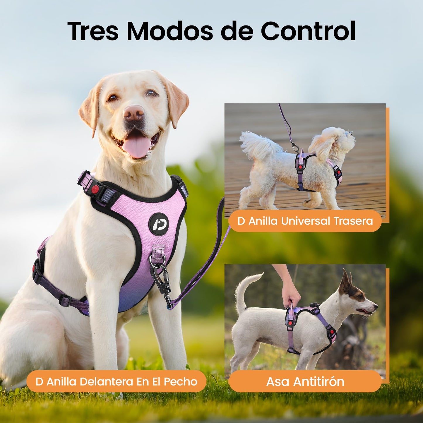Arnés led de Perro Luminoso Talla M con Asa, Arnés Perro Ajustable con Luz Recargable 3 Modos de Iluminación, Bandas Reflectantes, Fácil de Poner para Perros Pequeños y Medianos