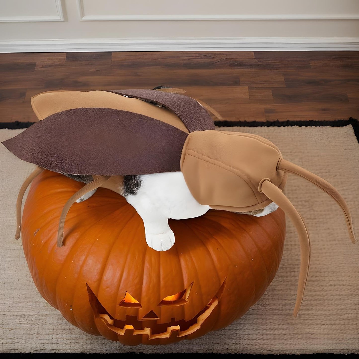 Disfraces De Halloween - Traje De Cucarachas De Ropa De Mascotas | Traje De Cucaracha De Ropa | Ropa Transpirable Realista | Accesorios De Ropa Para El Atuendo De Cosplay Gatito De Vacaciones De Perro