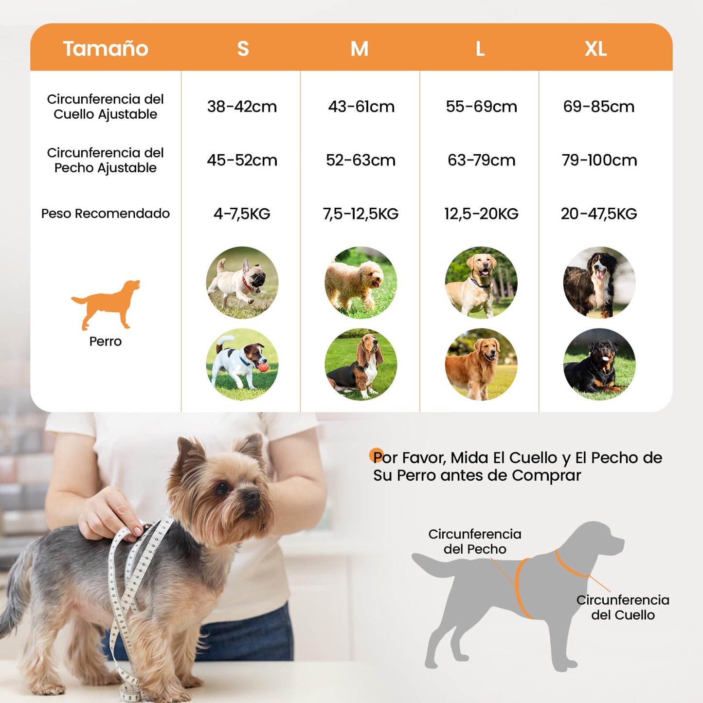Arnés led de Perro Luminoso Talla M con Asa, Arnés Perro Ajustable con Luz Recargable 3 Modos de Iluminación, Bandas Reflectantes, Fácil de Poner para Perros Pequeños y Medianos