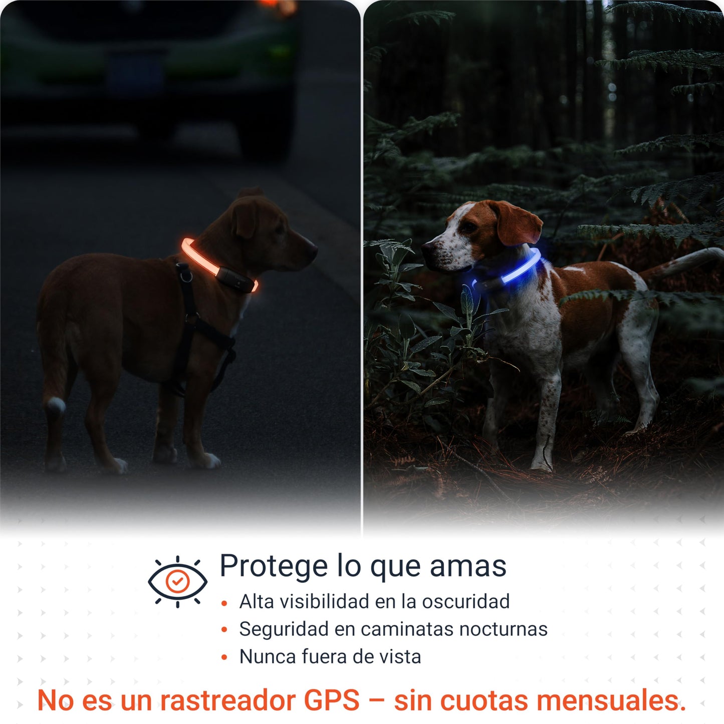 Collar Luminoso de Alta Intensidad para Perros de Todos los tamaños - Longitud Ajustable 20-70cm - 100% Impermeable - 7 Colores - Máxima Visibilidad y Seguridad Nocturna