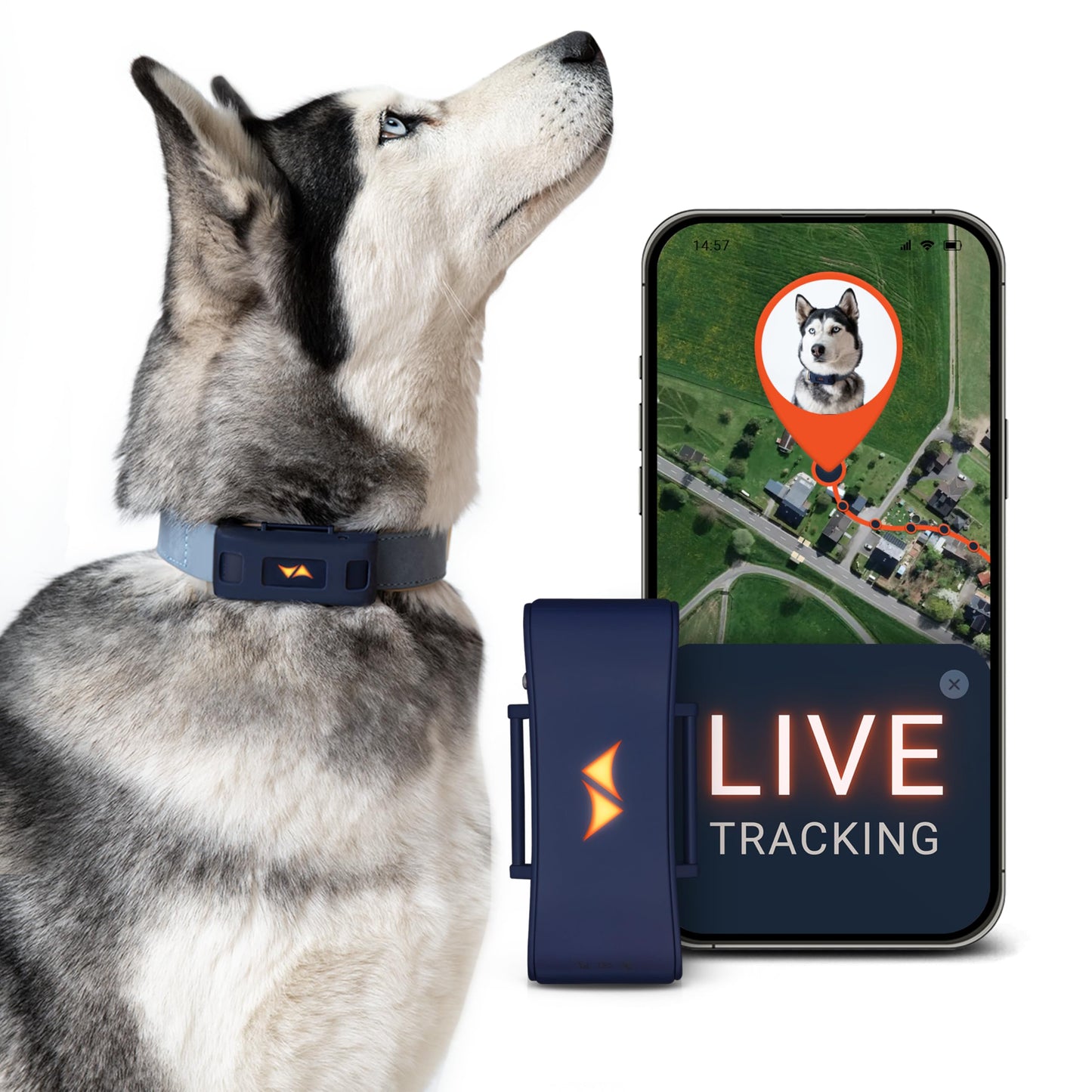 Collar Localizador GPS para Perros 4G - Alarmas de Fuga + Seguimiento Global en Tiempo Real - Batería hasta 10 días - 100% Resistente al Agua (IP67) - con Luces LED - Apto para Cualquier Collar - Azul