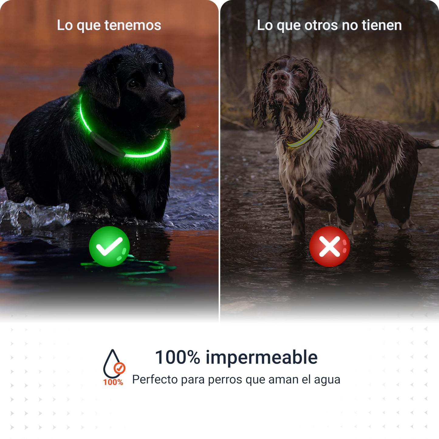 Collar Luminoso de Alta Intensidad para Perros de Todos los tamaños - Longitud Ajustable 20-70cm - 100% Impermeable - 7 Colores - Máxima Visibilidad y Seguridad Nocturna