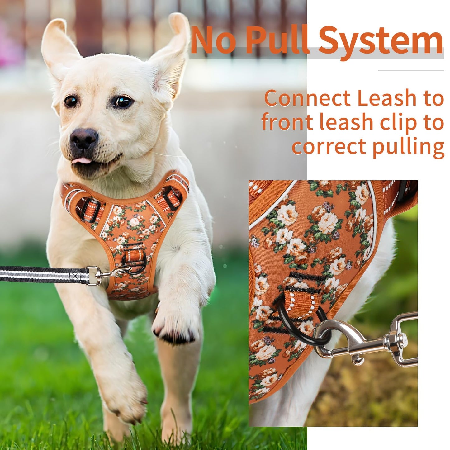 Arnes para Perro Arnes Anti Tirones Transpirable con Agarre Acolchado y Reflectantes Arnés para Perros Easy Safe Arnés para Perro con Bonito Estampado Arnés Perro Pequeños, Flores-Nanranja, S
