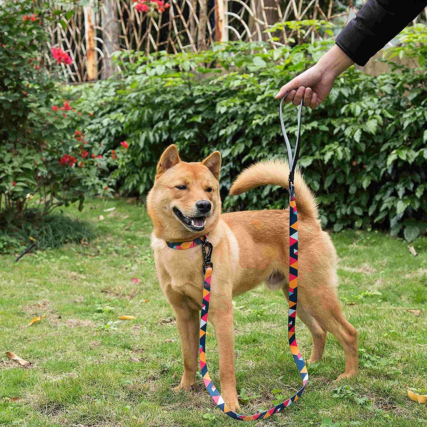 Collar de perro con patrón geométrico, mediano