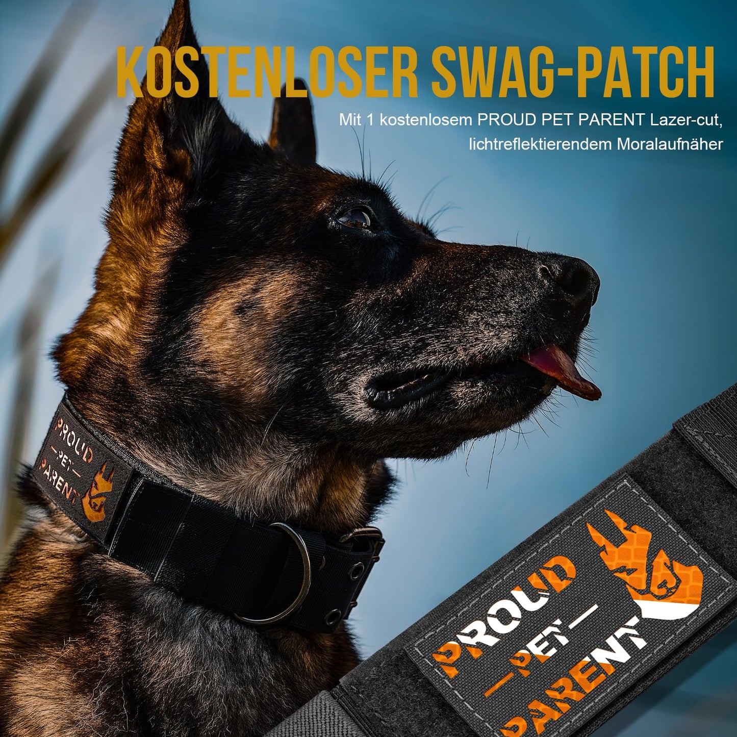 Collar de perro de 5 cm de ancho con asa y parche para perros grandes, negro, L