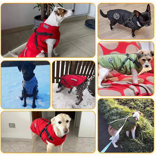 Abrigo Invierno Perro, Abrigo Impermeable para Perros Resistente al Viento, Chaqueta para Perros con Tiras Reflectantes Seguras & Arnés Ajustable para Perros pequeñas, Medianas y Grandes