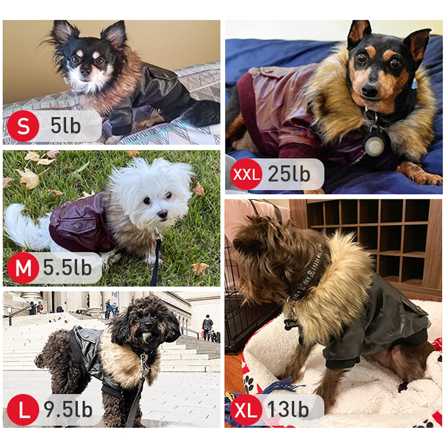 Abrigo para Perros Invierno Ropa para Perros Cuero Chaqueta para Perros Abrigado con el Borreguito y Botones Mascotas Disfraces para Pequeño/Medianos Perros (Negro) - XXL