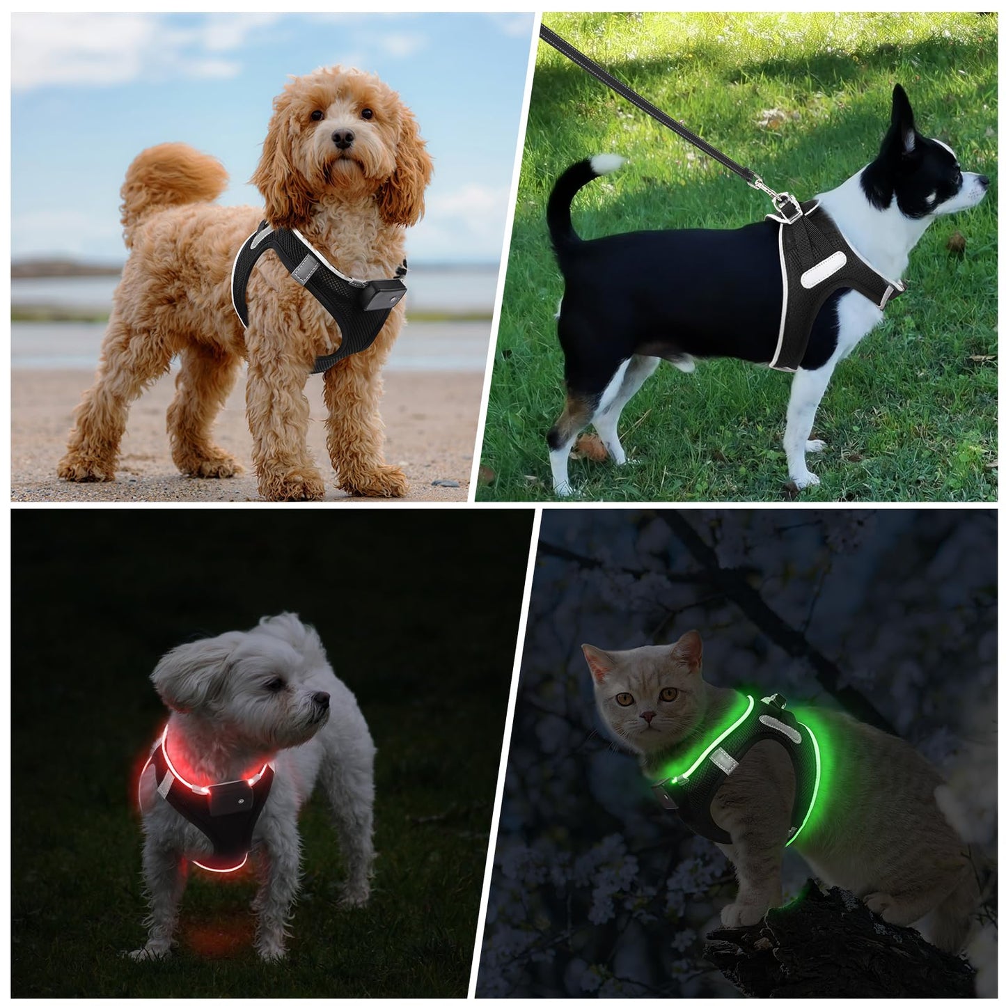 Arnés Luminoso para Perros Pequeño, Cómoda ArnéS LED Perro Recargable 3 Modos Arnés Perro Luz Reflectante para Mascotas Pequeñas, Negro Rojo-L