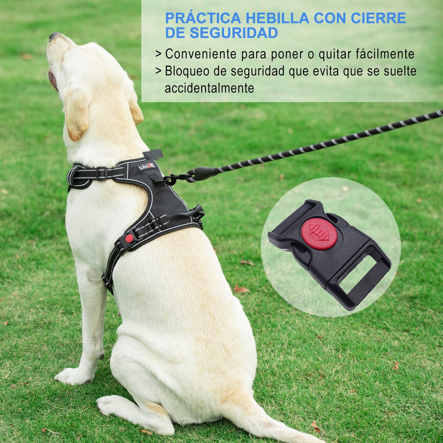 Arnés para Perro sin Tirar, Ajustable, Reflectante Oxford, fácil de controlar, Mediano y Grande, con una Correa para Perro Resistente