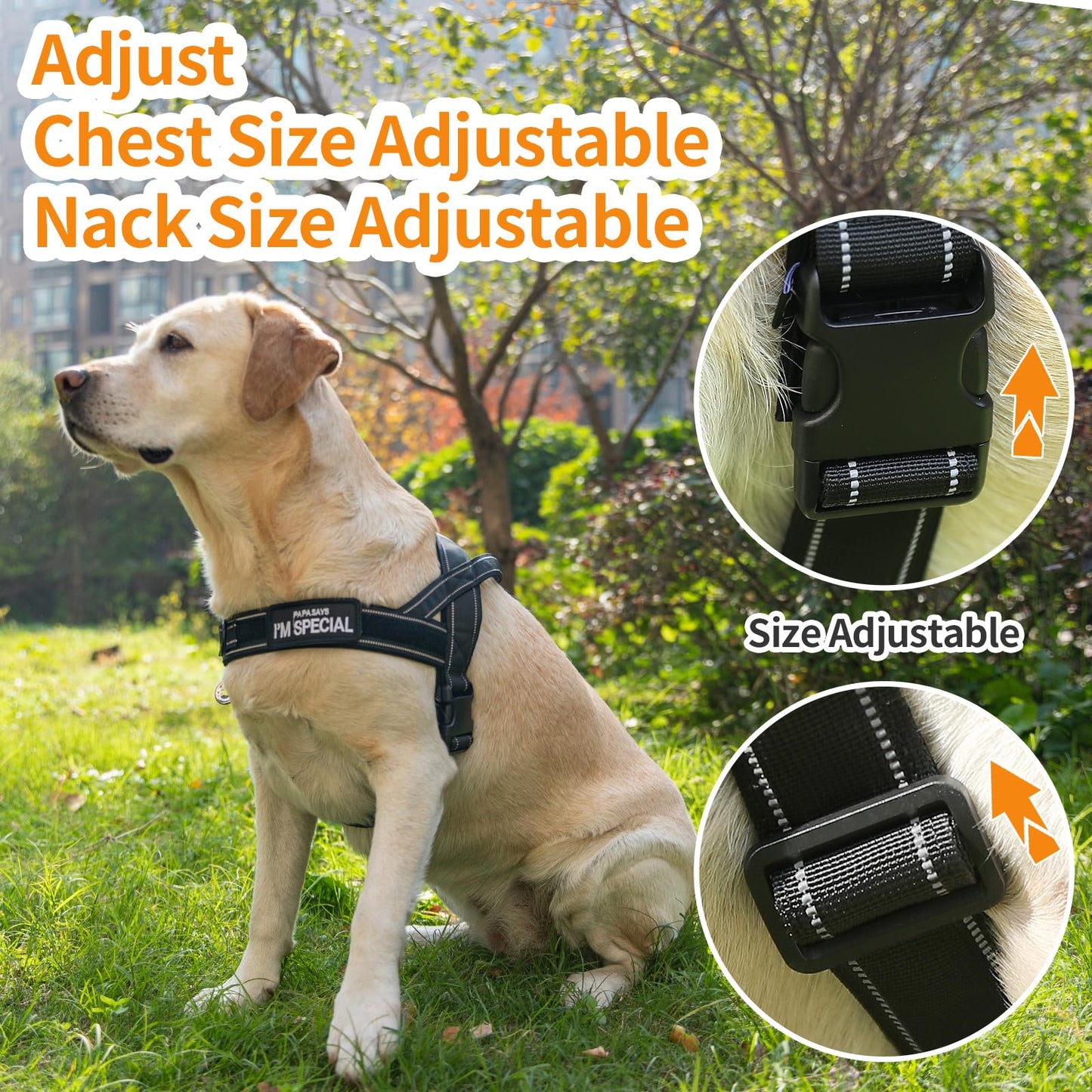 Arnés para Perros pequeños y medianos Reflectante, Ajustable, sin tirón, arnés para Perros