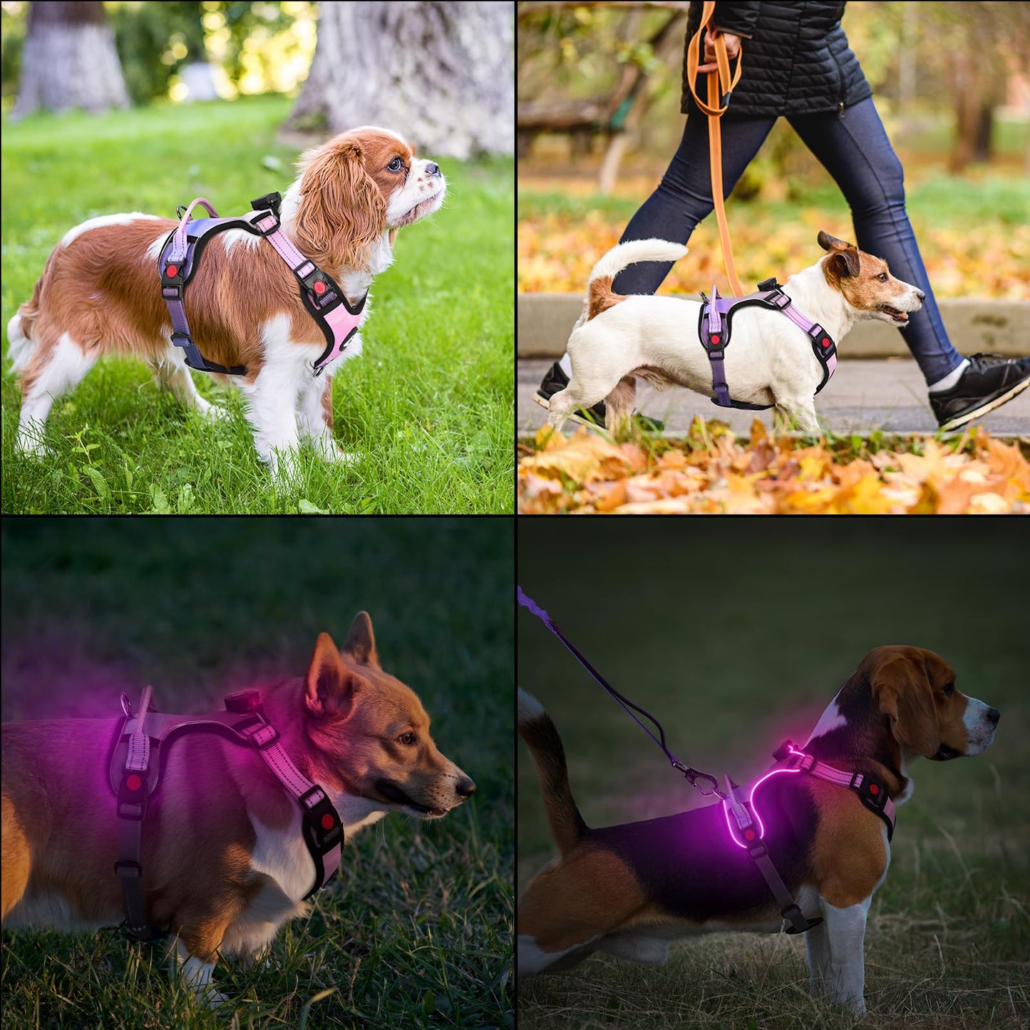Arnés led de Perro Luminoso Talla M con Asa, Arnés Perro Ajustable con Luz Recargable 3 Modos de Iluminación, Bandas Reflectantes, Fácil de Poner para Perros Pequeños y Medianos