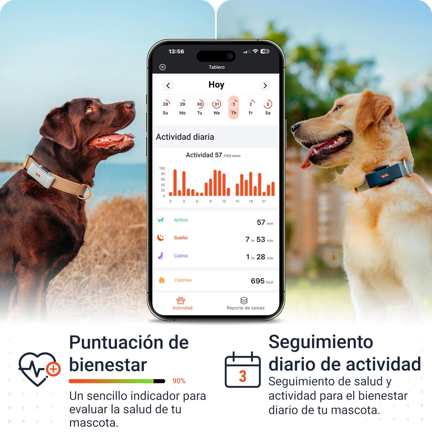 Collar Localizador GPS para Perros 4G - Alarmas de Fuga + Seguimiento Global en Tiempo Real - Batería hasta 10 días - 100% Resistente al Agua (IP67) - con Luces LED - Apto para Cualquier Collar - Azul