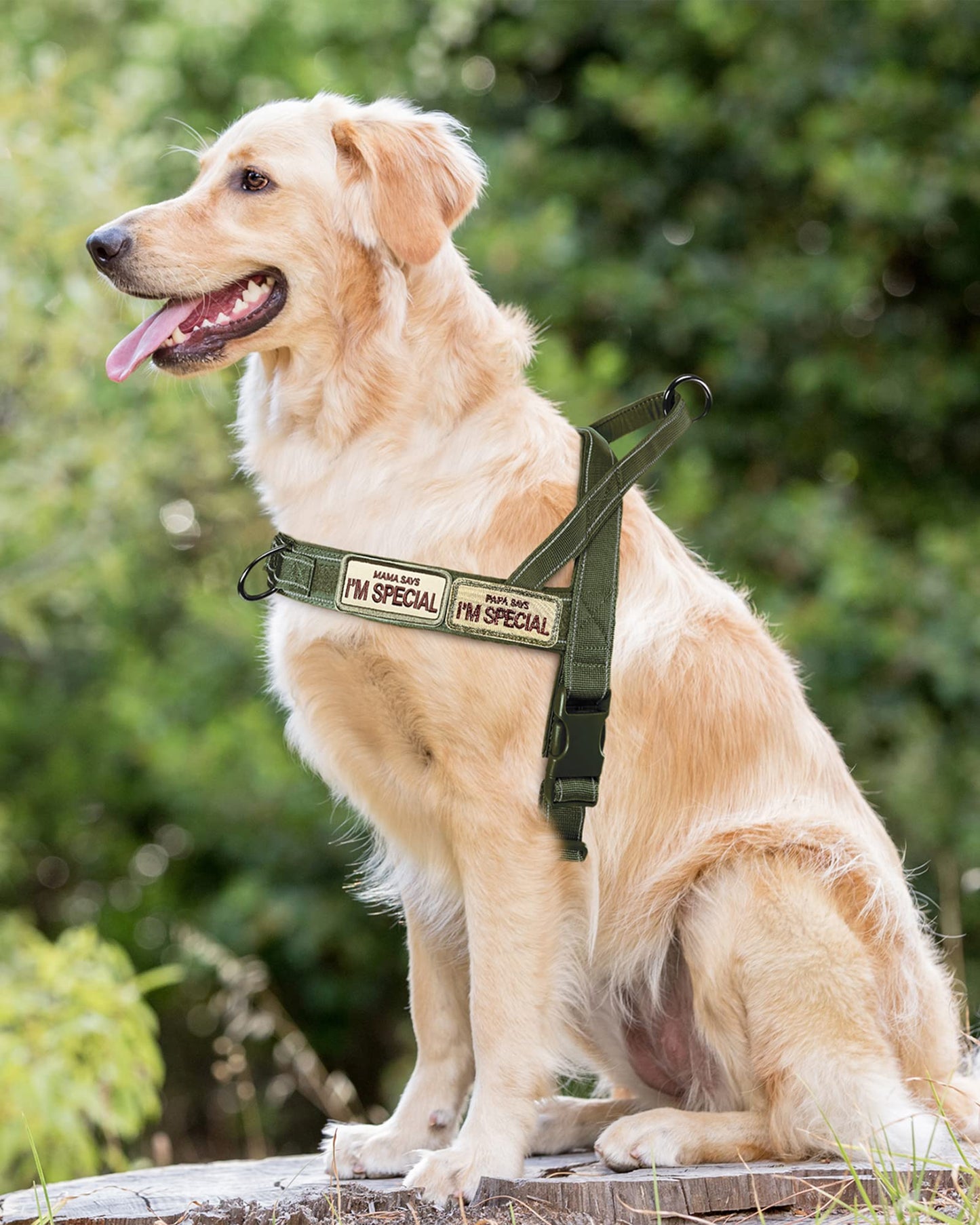 Arnés para Perros pequeños y medianos Reflectante, Ajustable, sin tirón, arnés para Perros