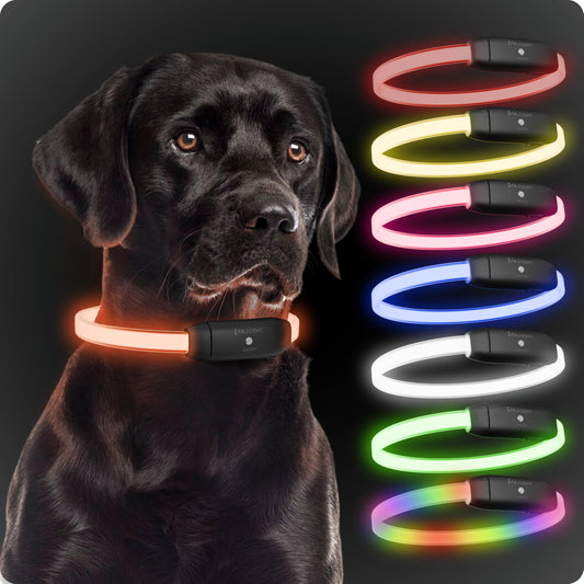 Collar Luminoso de Alta Intensidad para Perros de Todos los tamaños - Longitud Ajustable 20-70cm - 100% Impermeable - 7 Colores - Máxima Visibilidad y Seguridad Nocturna