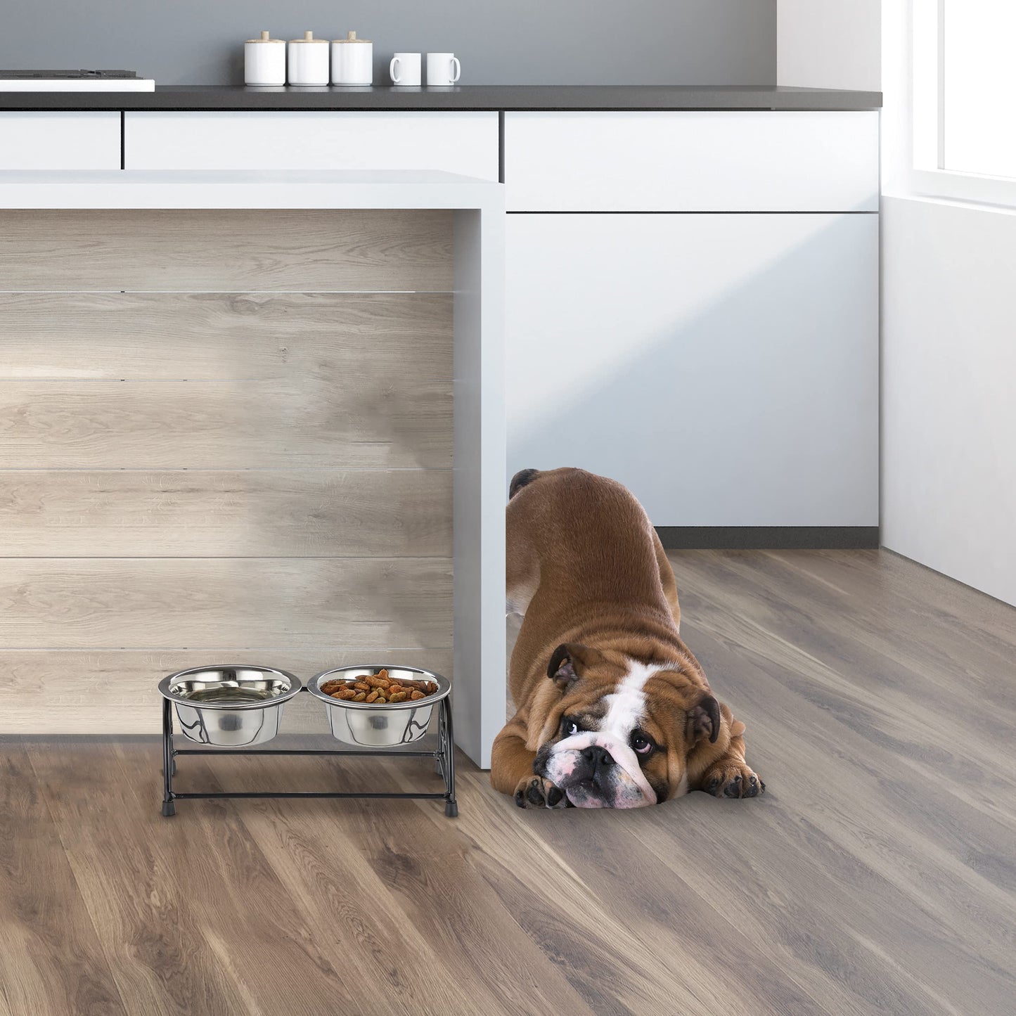 Relaxdays Set Comederos Perro con Soporte Elevado, Bebedero Mascota, 2 Cuencos Cachorro, Acero 300ml, Negro/Plateado