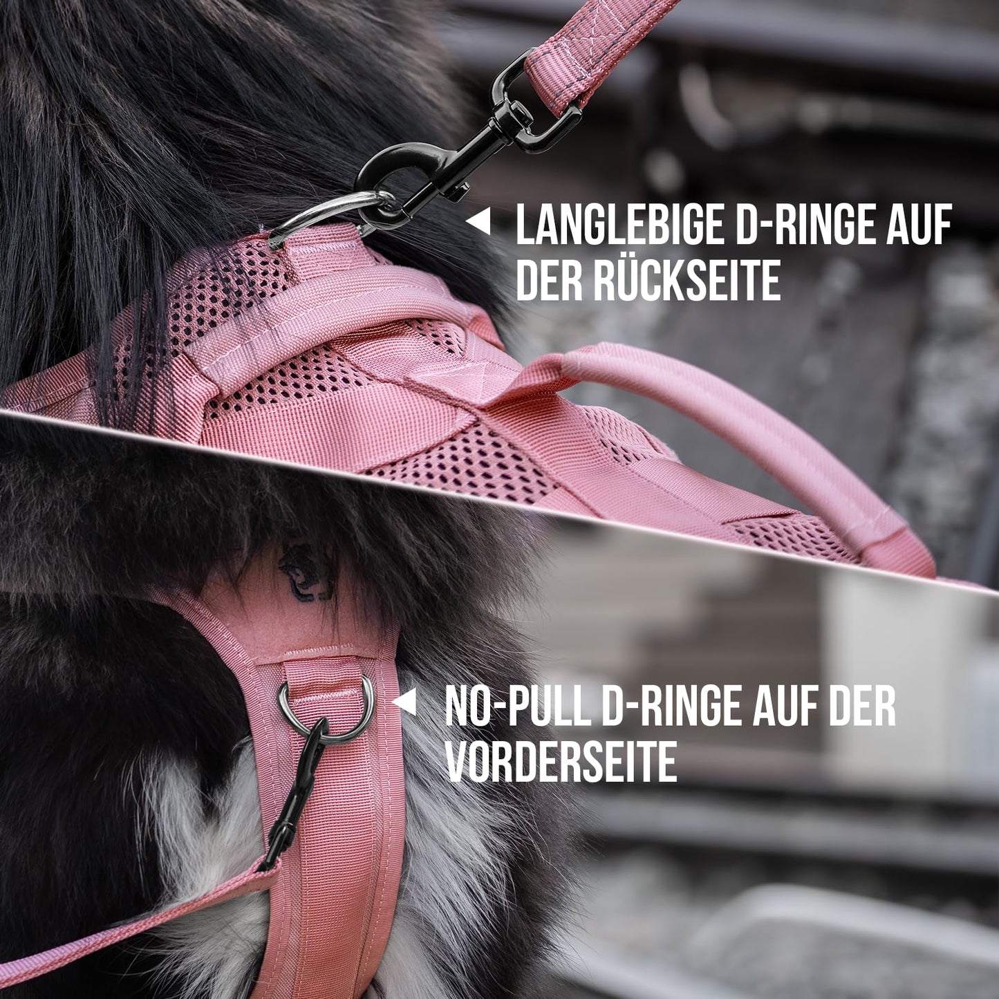 Arnés de seguridad ajustable ultra transpirable para perros grandes/medianos con 2 asas (M rosa)