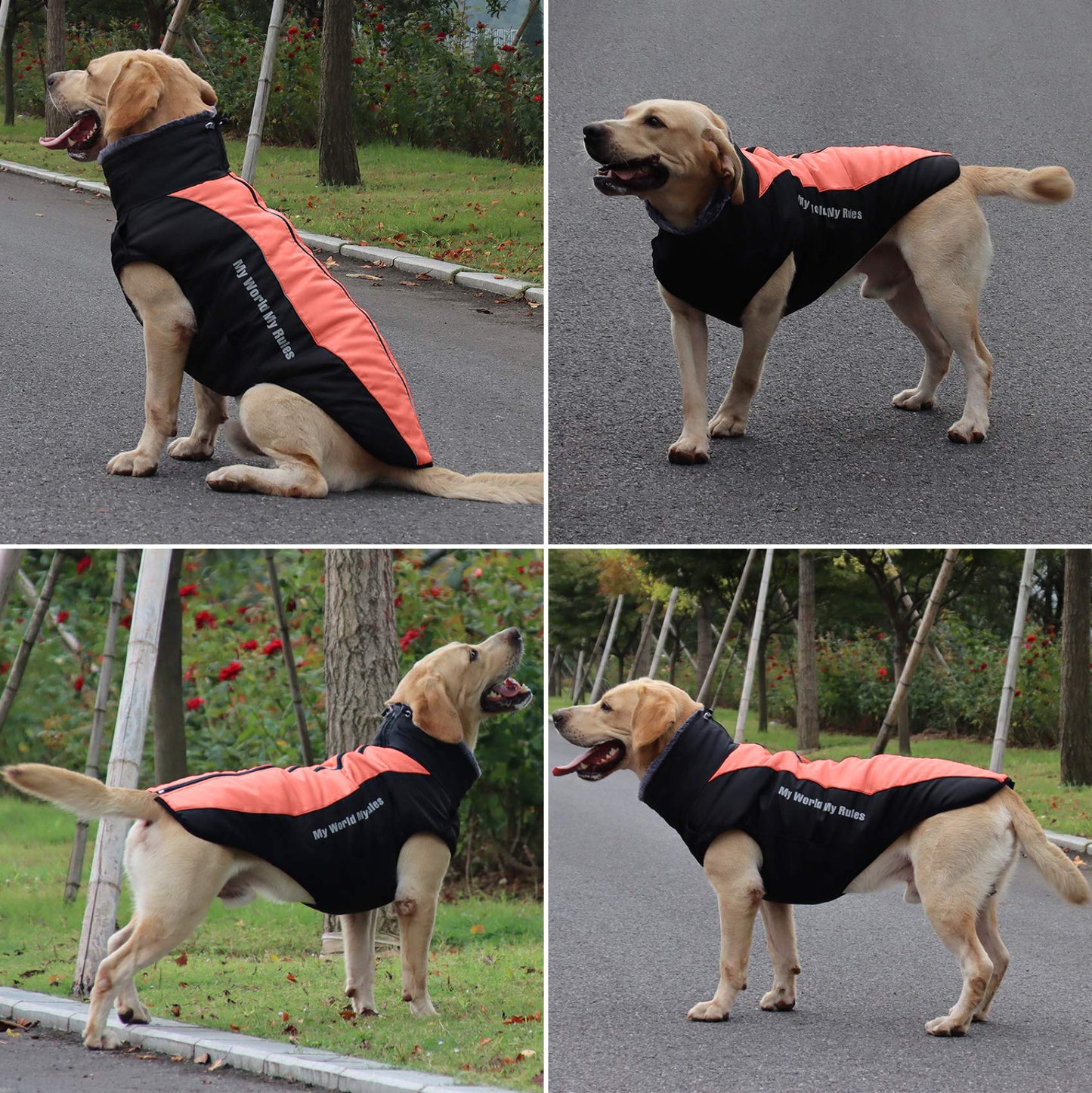 Abrigo para Perros Chaqueta cálida, Traje de Nieve Reflectante para Mascotas Deportes al Aire Libre Ropa Impermeable para Perros Chaleco para Perros Mediano Grande con Orificio para el arnés