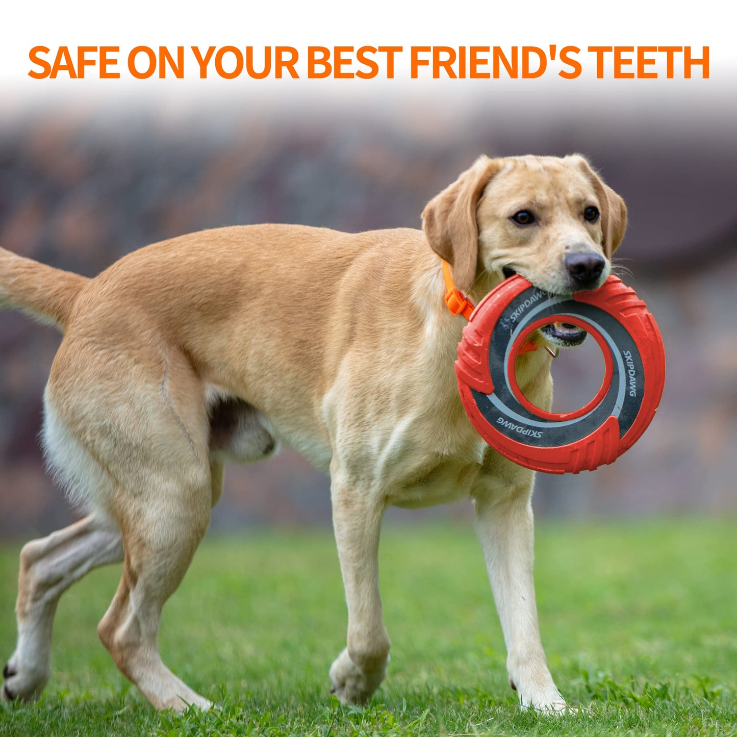 Frisbee Juguetes interactivos de disco volador para perros, flota en el agua y es seguro en los dientes, juguetes de playa para jugar y hacer ejercicio al aire libre (rojo)