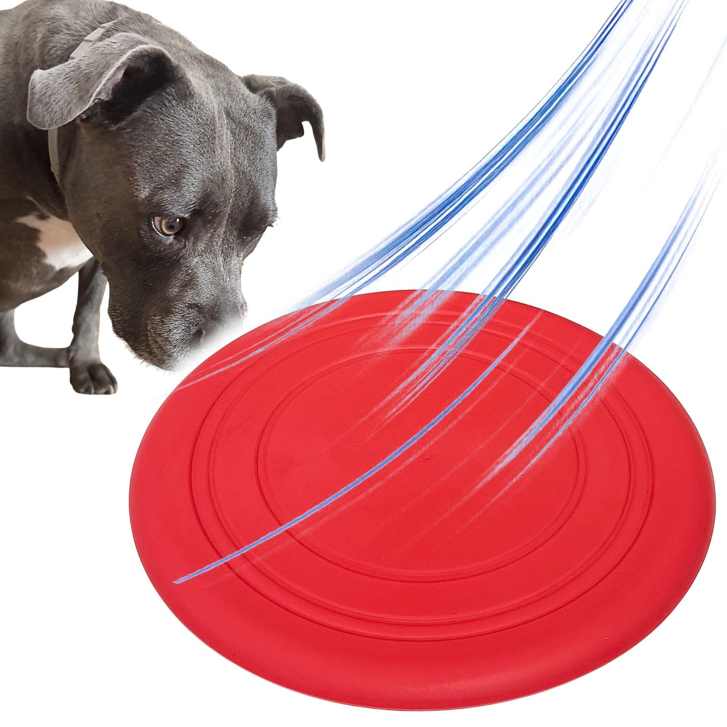Frisbee de Goma Flexible para Perros | Disco Volador Suave, Resistente y Seguro para Mordeduras | Flotante y Fácil de Lanzar | Juguete Interactivo para Juego al Aire Libre, Playa, Entrenamiento