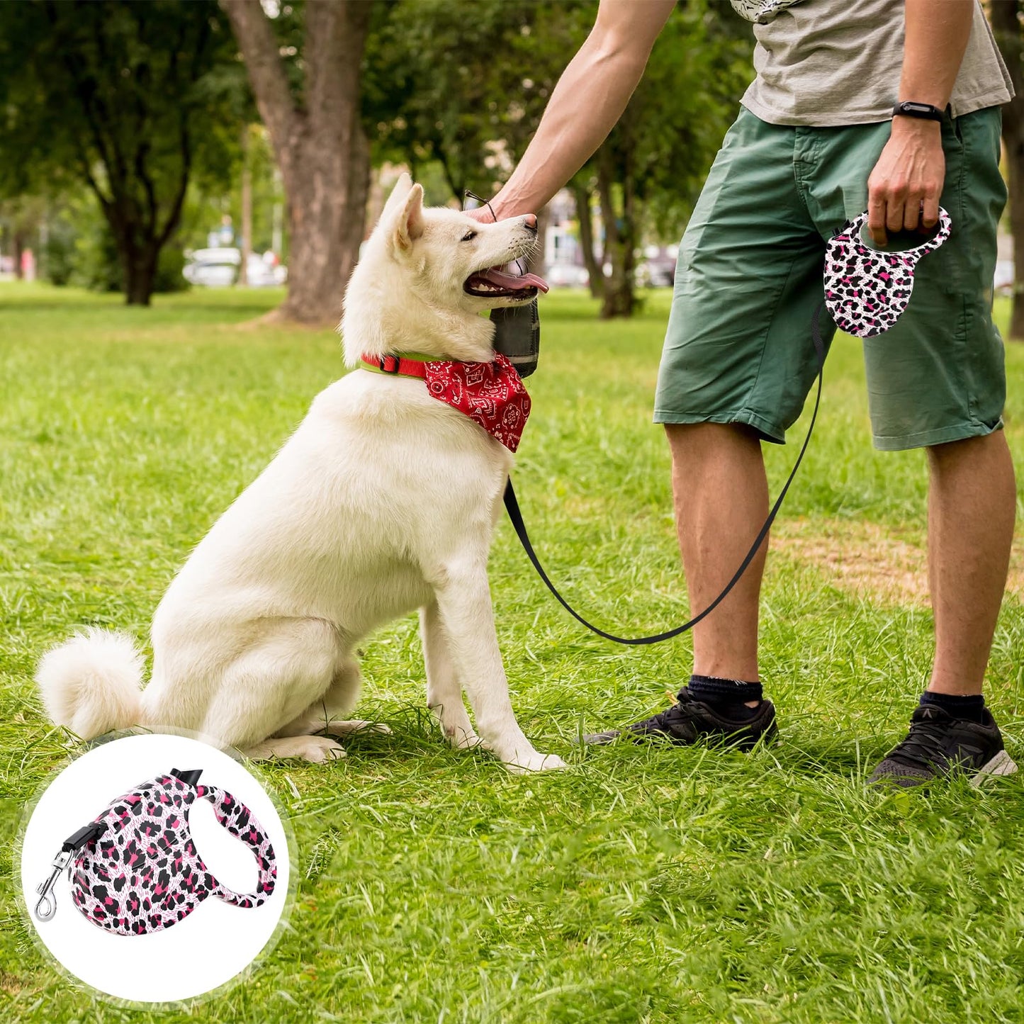 Correa Perro Extensible, Correa Retráctil, Perros Pequeños y Medianos de hasta 15 kg, Correa para Perro 5 Metros, Correa Retráctil Perros para Caminar, Trotar, Entrenar