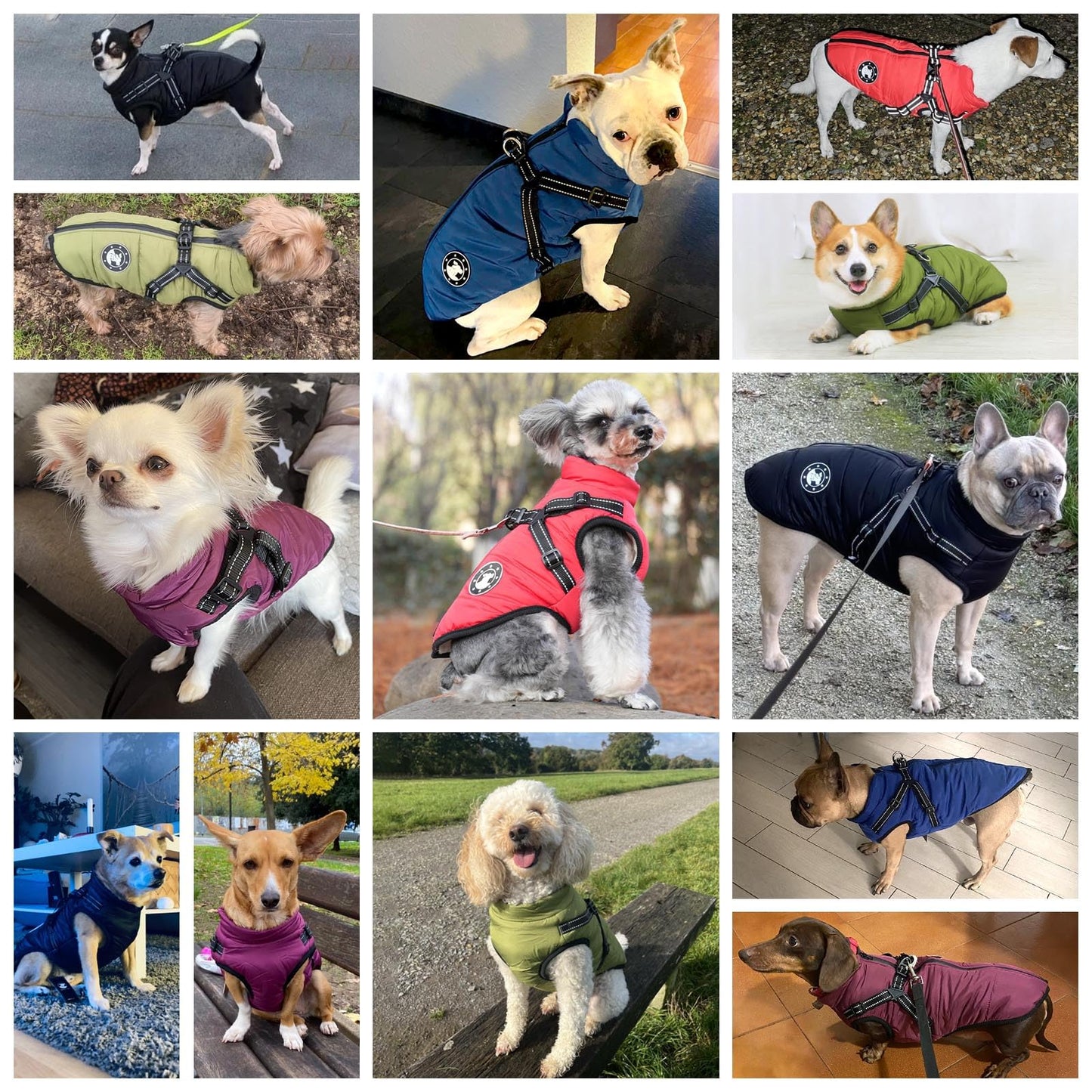 Abrigo para Perros de Invierno, Resistente al Viento, Impermeable, Abrigo para Perro con Arnés, Ropa para Climas Fríos, Chaqueta Cálida de Invierno