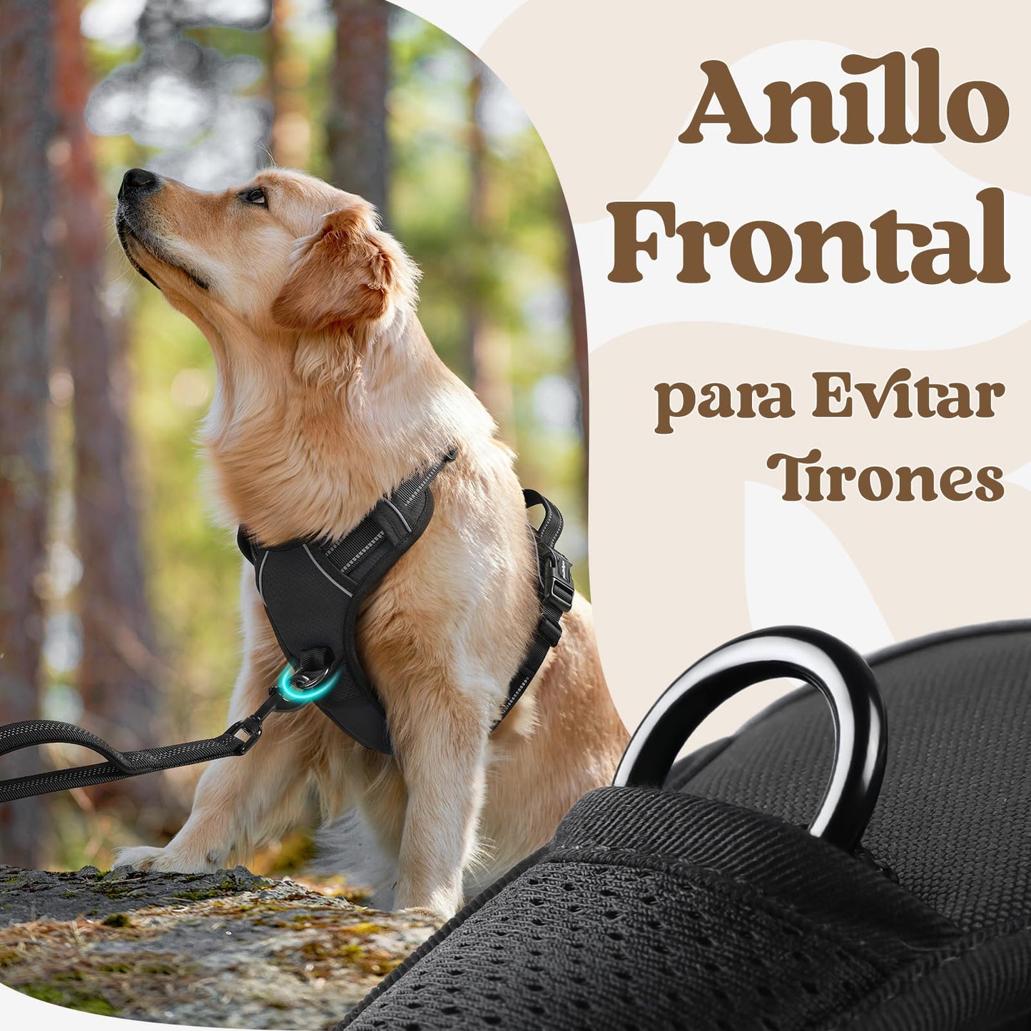 rabbitgoo Arnes Perro Mediano con 3 Hebillas, Liberacion del Cuello, Arnes Perro Ajustable con Asa y Clip Frontal, Arnés Antitirones para Perros Reflectante para Adiestramiento Correr, Negro, L