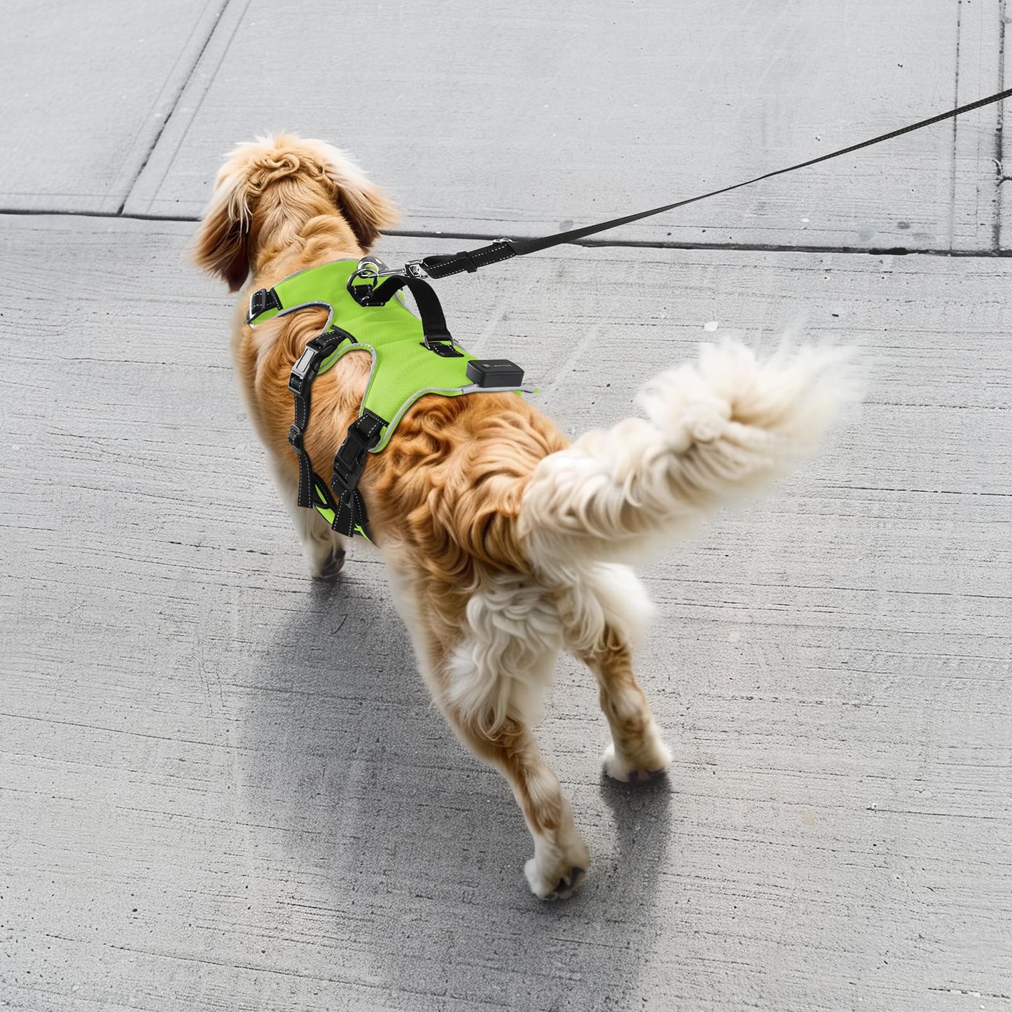 Arnés Recargable para Perro Iluminado, Arnés de 3 Puntos para Perros Medianos y Grandes, Recargable con 4 Correas Ajustables, 3 Modos, Impermeable para Caminar por la Noche, Lluvia, Verde-L