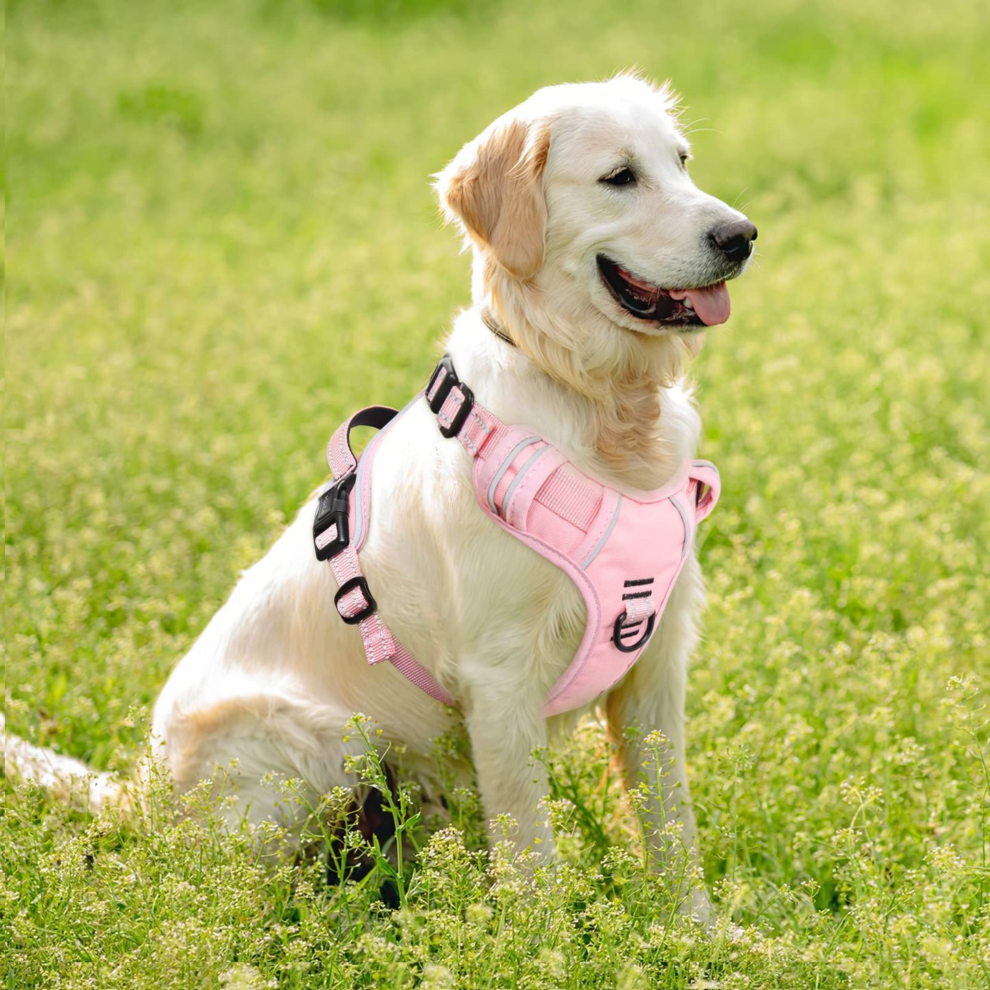 Arnés para Perro Mediano Arnes para Perro Chaleco Reflectante con 3 Hebillas de Liberación Pápida Arnés para Perro Ajustable, Mango Acolchado, Confort, Liberacion del Cuello, Rosa Claro, L